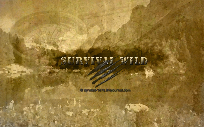 Survival Wild - выжить в дикой природе